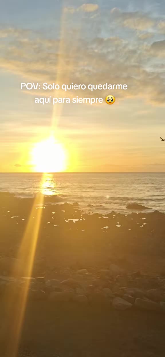 @Anuska 🦋🇮🇨