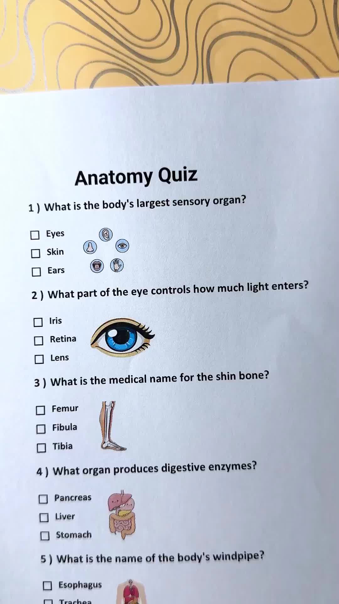 @Daily Quiz