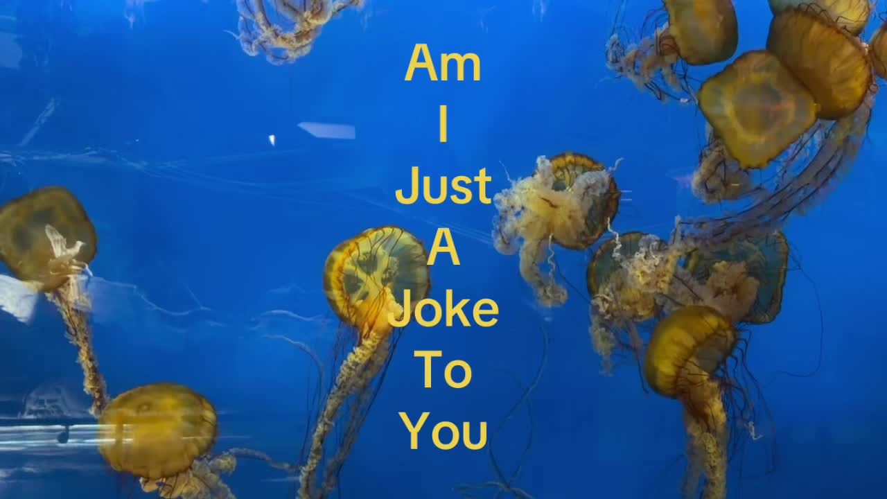 @Alysia