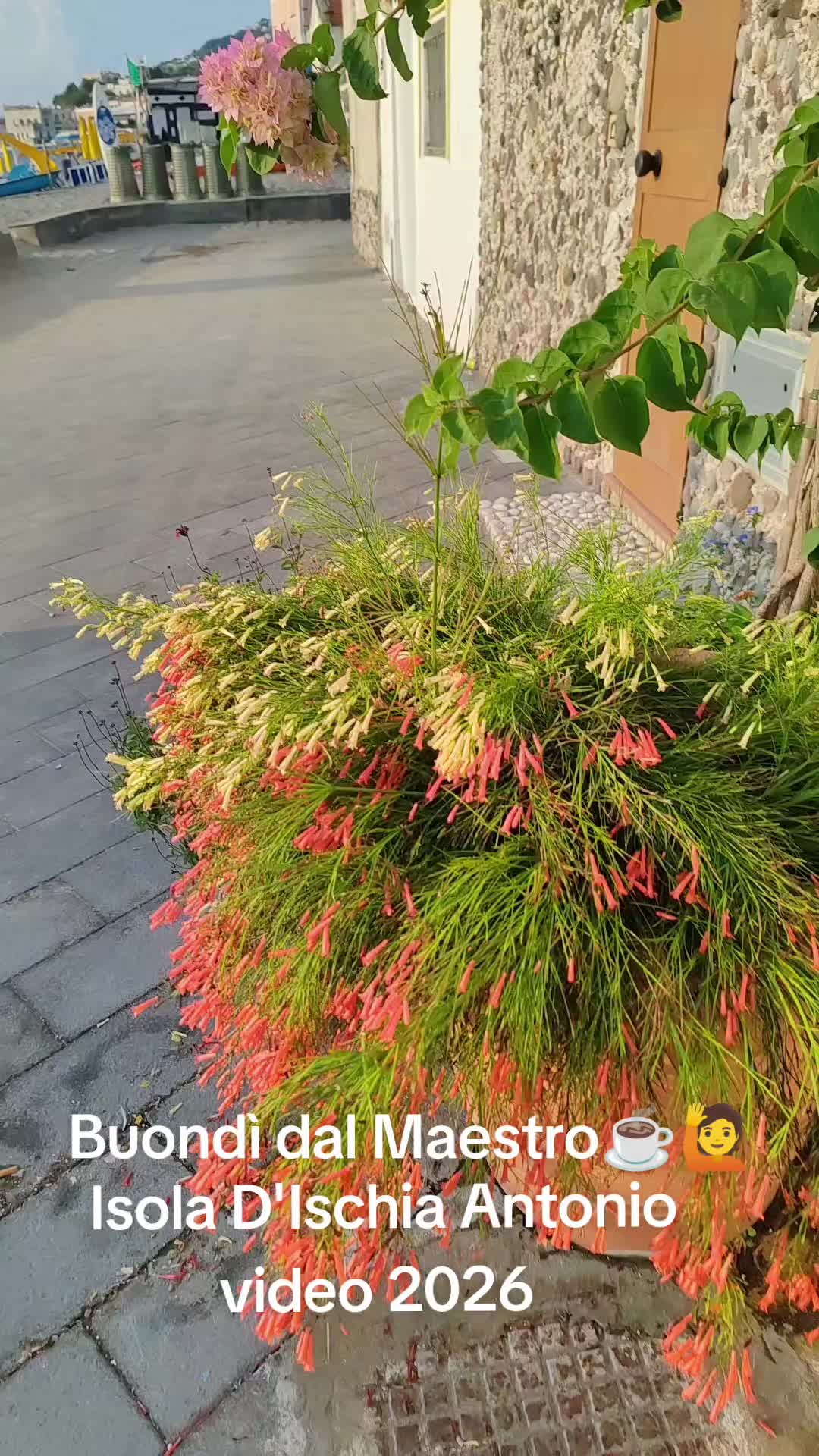@Antonio Di Manso