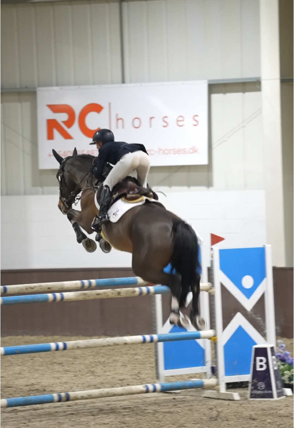 @Lucy Struthers Horses