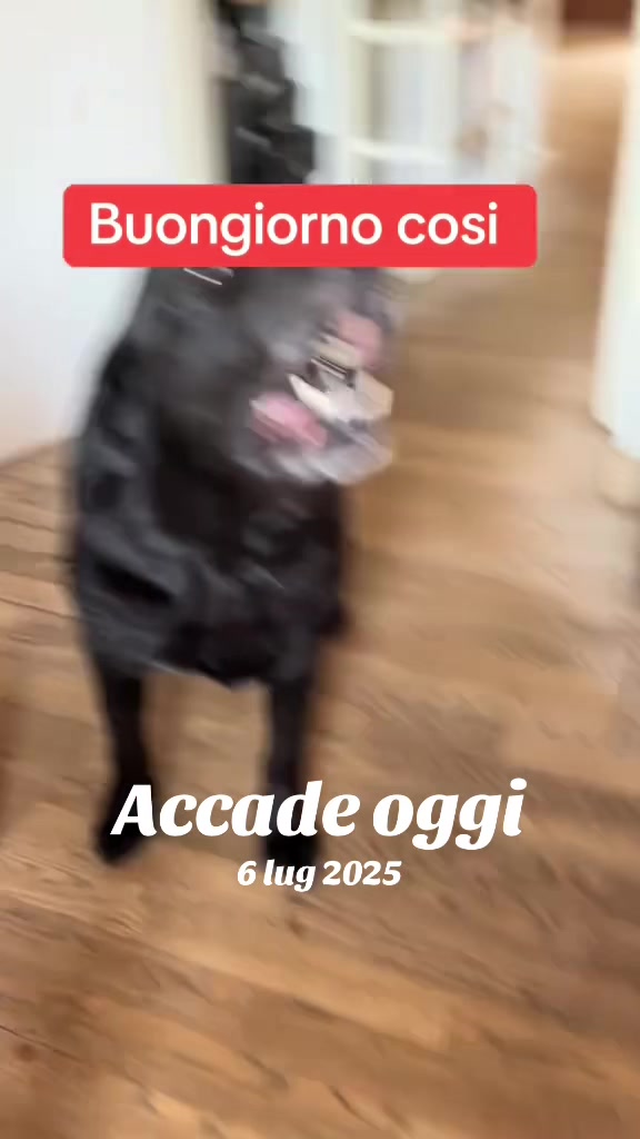 @Gra_Lagra_👑