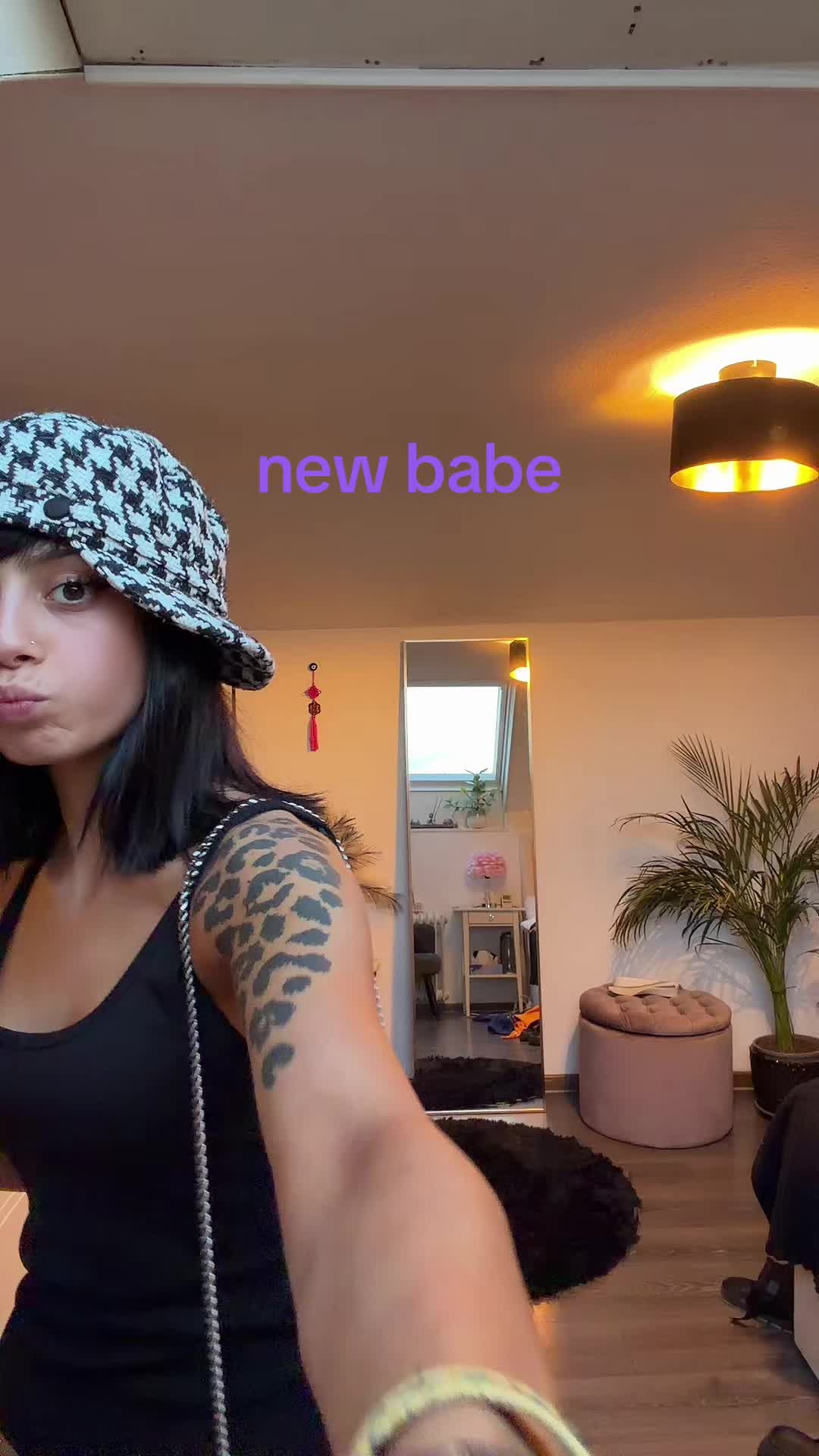 @persiankitten