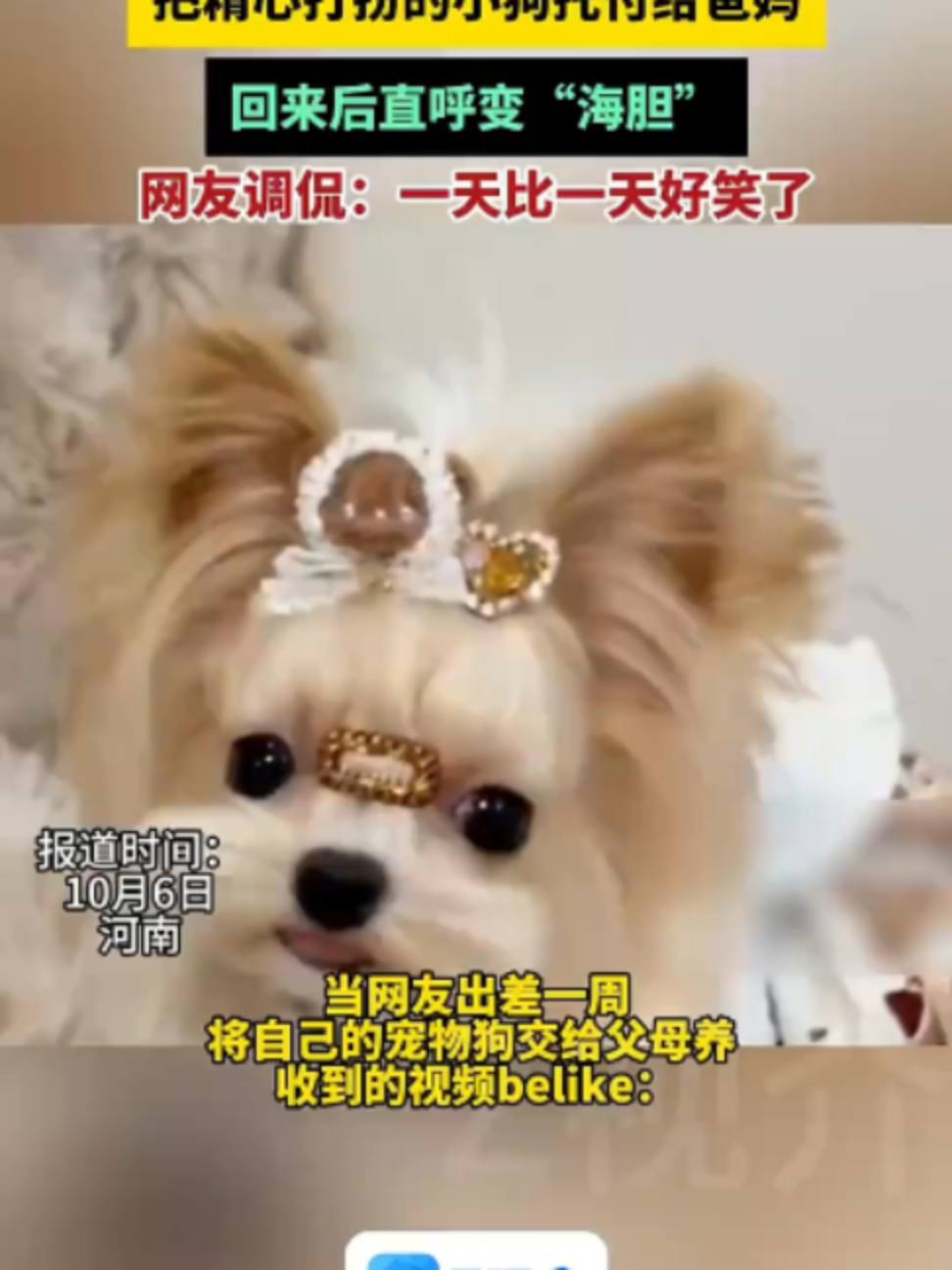 @中国蓝国际