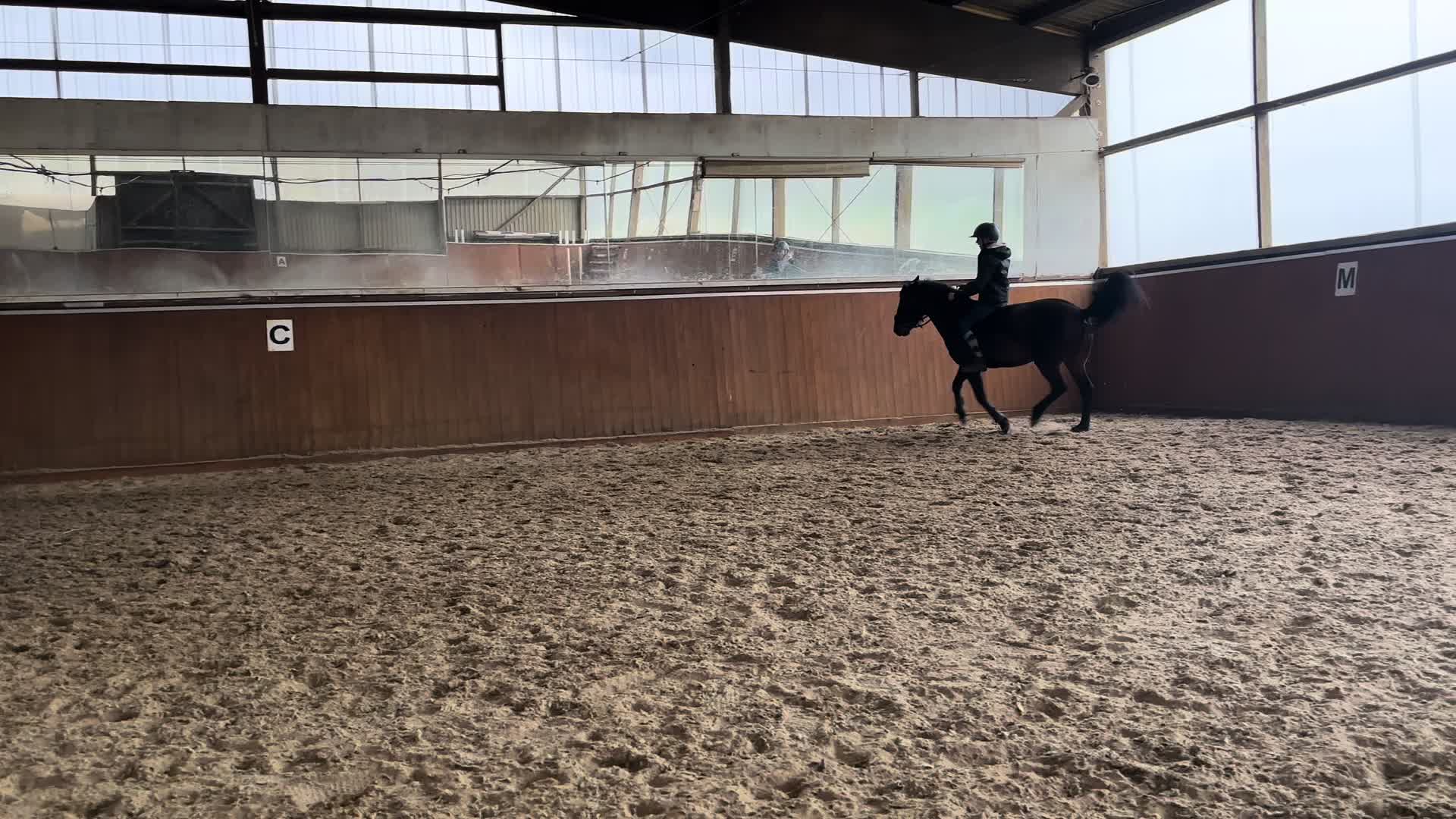 @Mooni & Vanessa 🐴