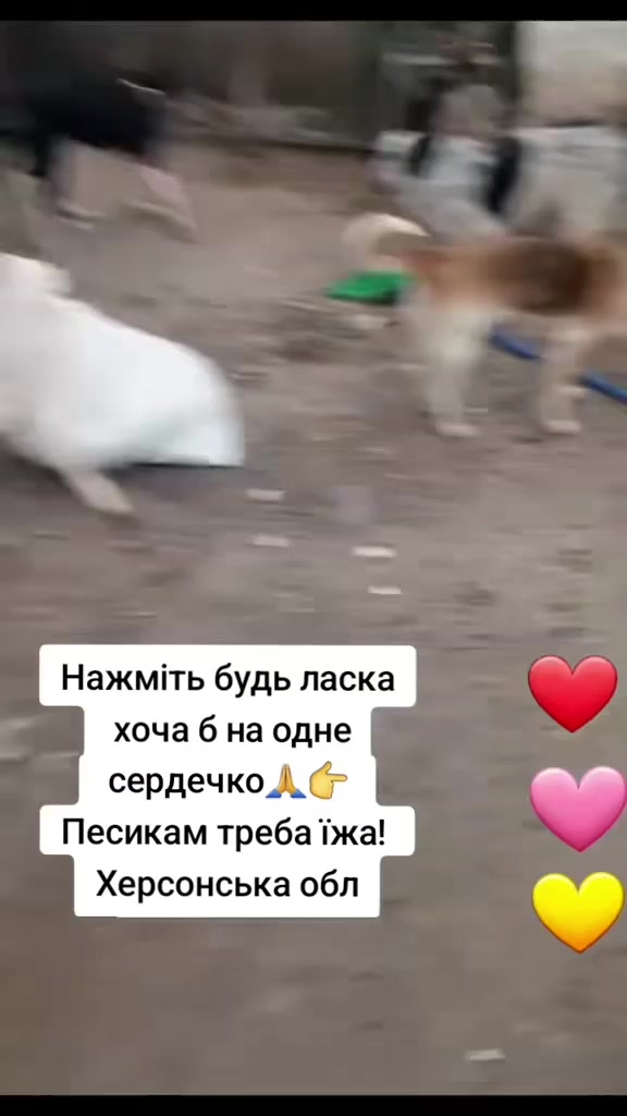 @tvarinkidobra