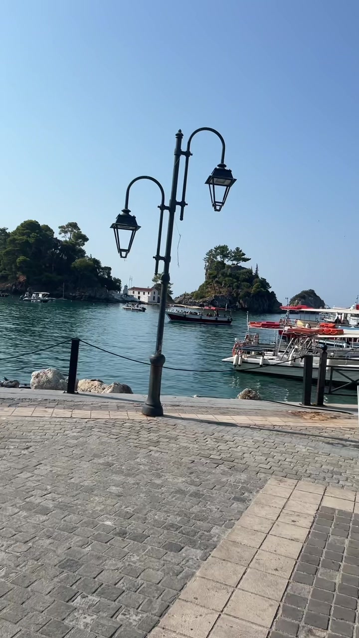 @SHARK 🦈🇩🇪🇩🇪 بيروت