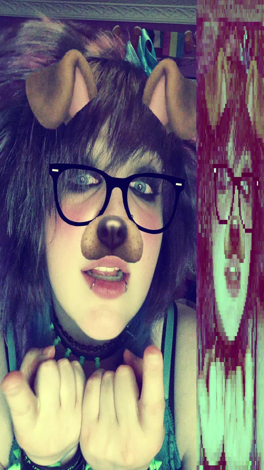 @xX_Jaynocide_Xx