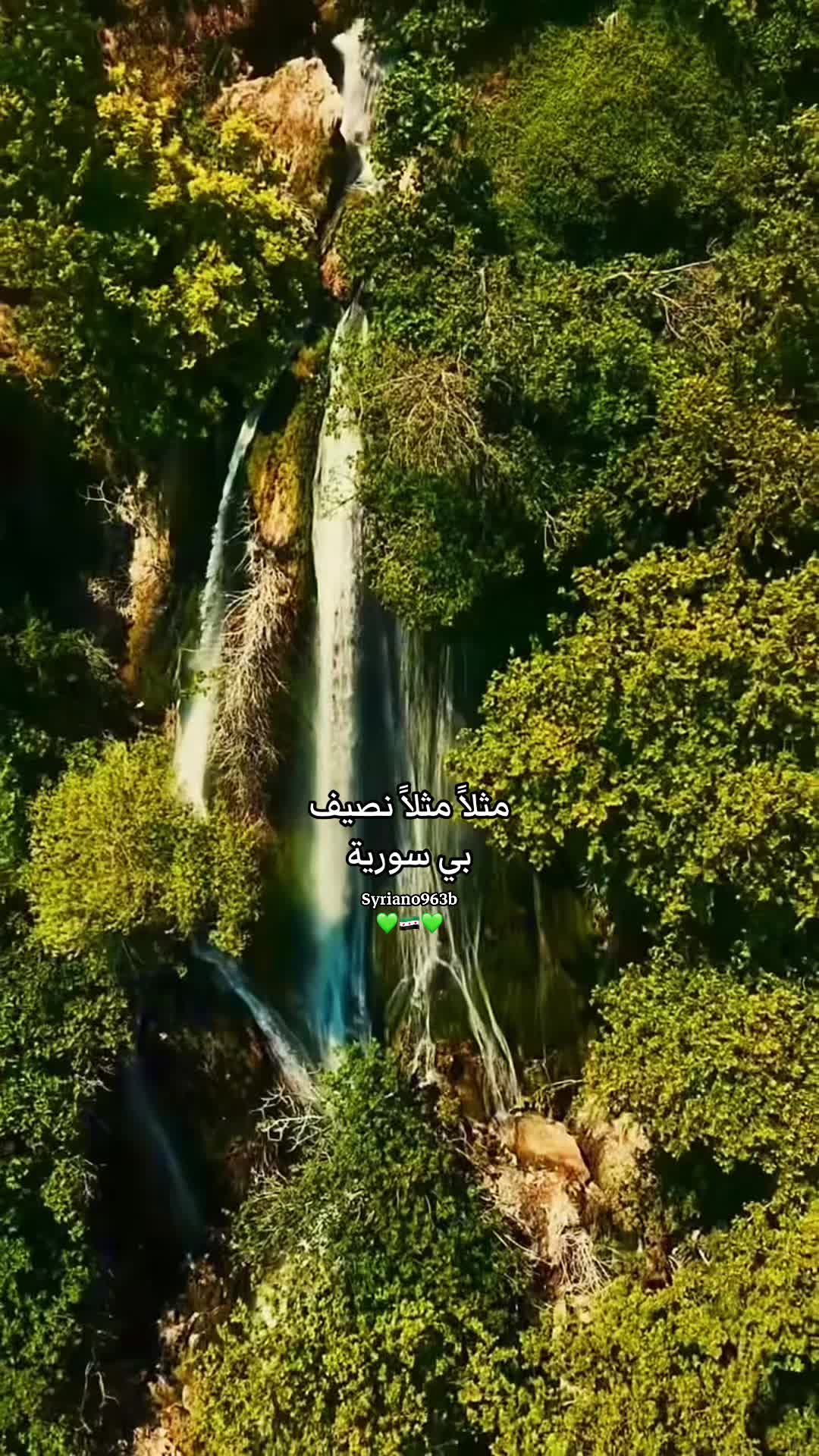 @Syriano/سريانو🇸🇾🦅