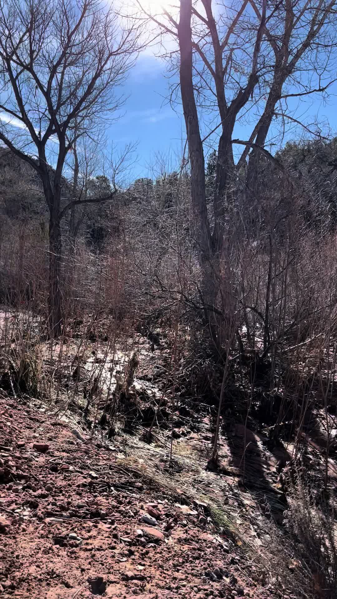 @GodPaintsHere