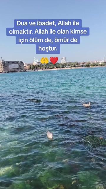 @Ay ışığı 🌙🌟