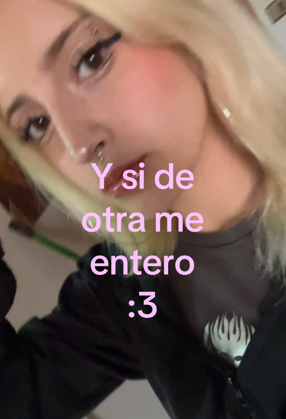 @catita.com