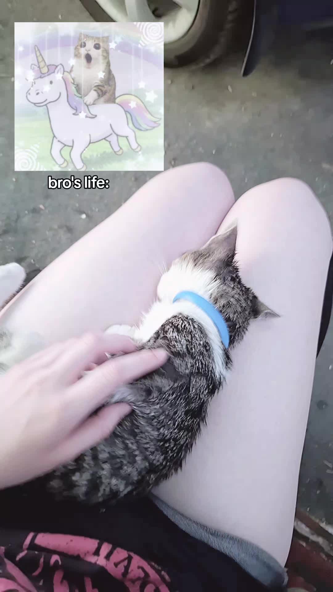 @𝓹𝓸𝓻𝓬𝓮𝓵𝓪𝓲𝓷 𝓴𝓲𝓽𝓽𝔂