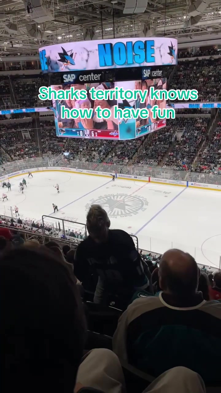 @Shark