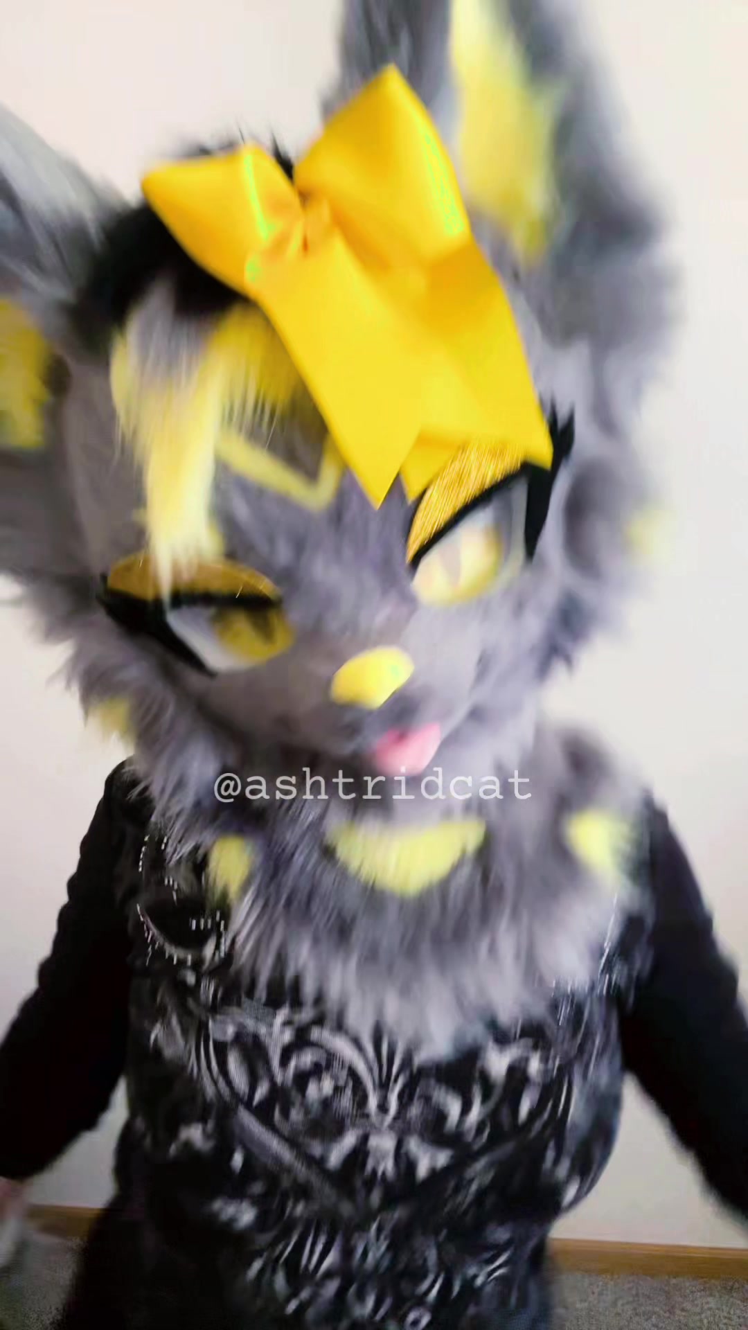 @AshtridCat