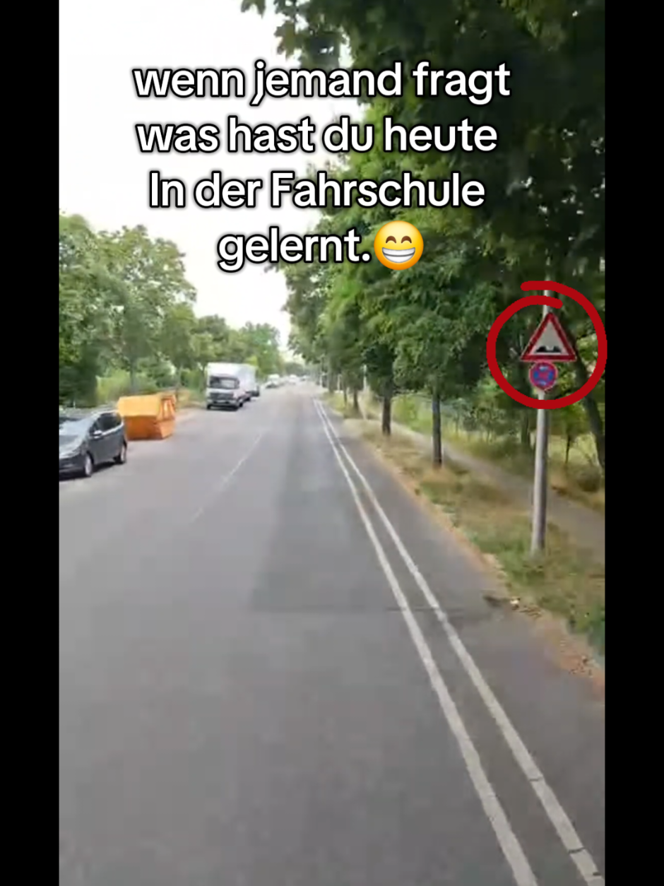 @Lkw Fahrlehrer Sino