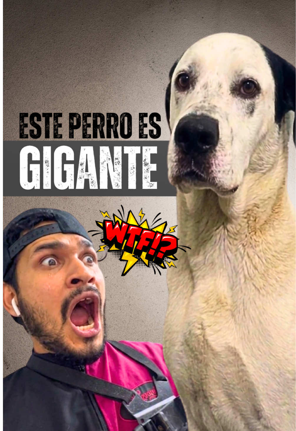 @VICTOR THE GROOMER