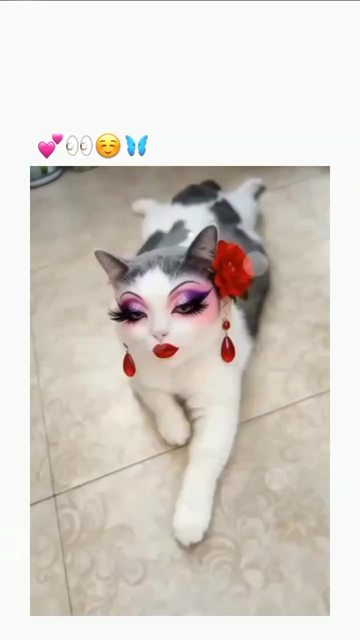 @๐ฒahi ๐ถ๐๐๐๐๐โ๐น