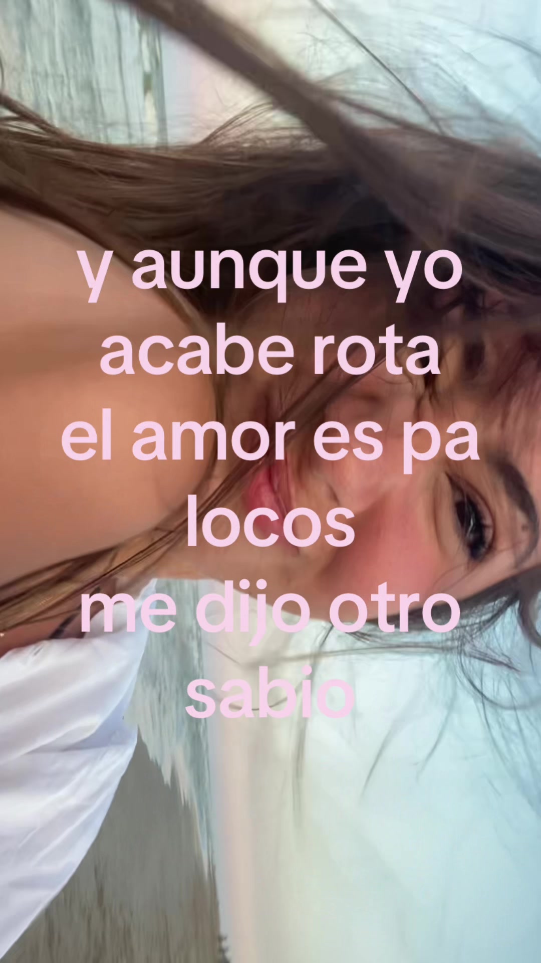 @solcifedezzanti