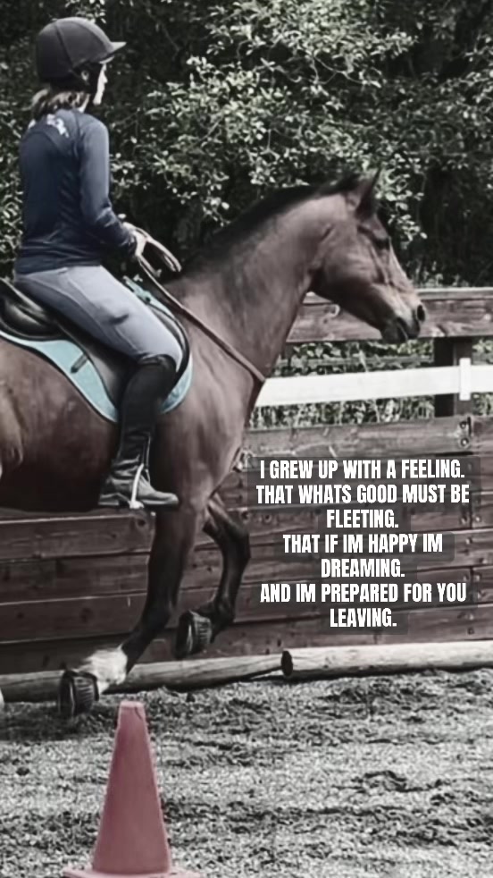 @Viv&rsquo;s Ponies