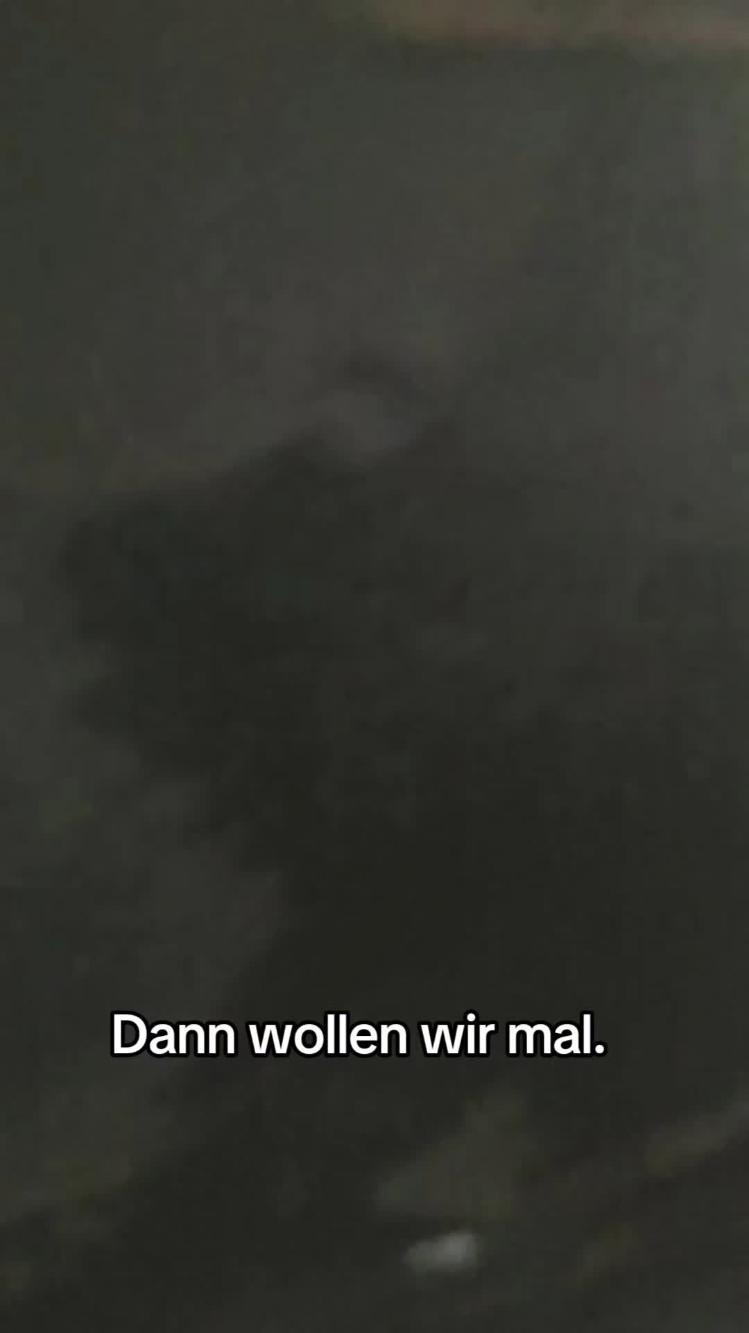 @DerWogi