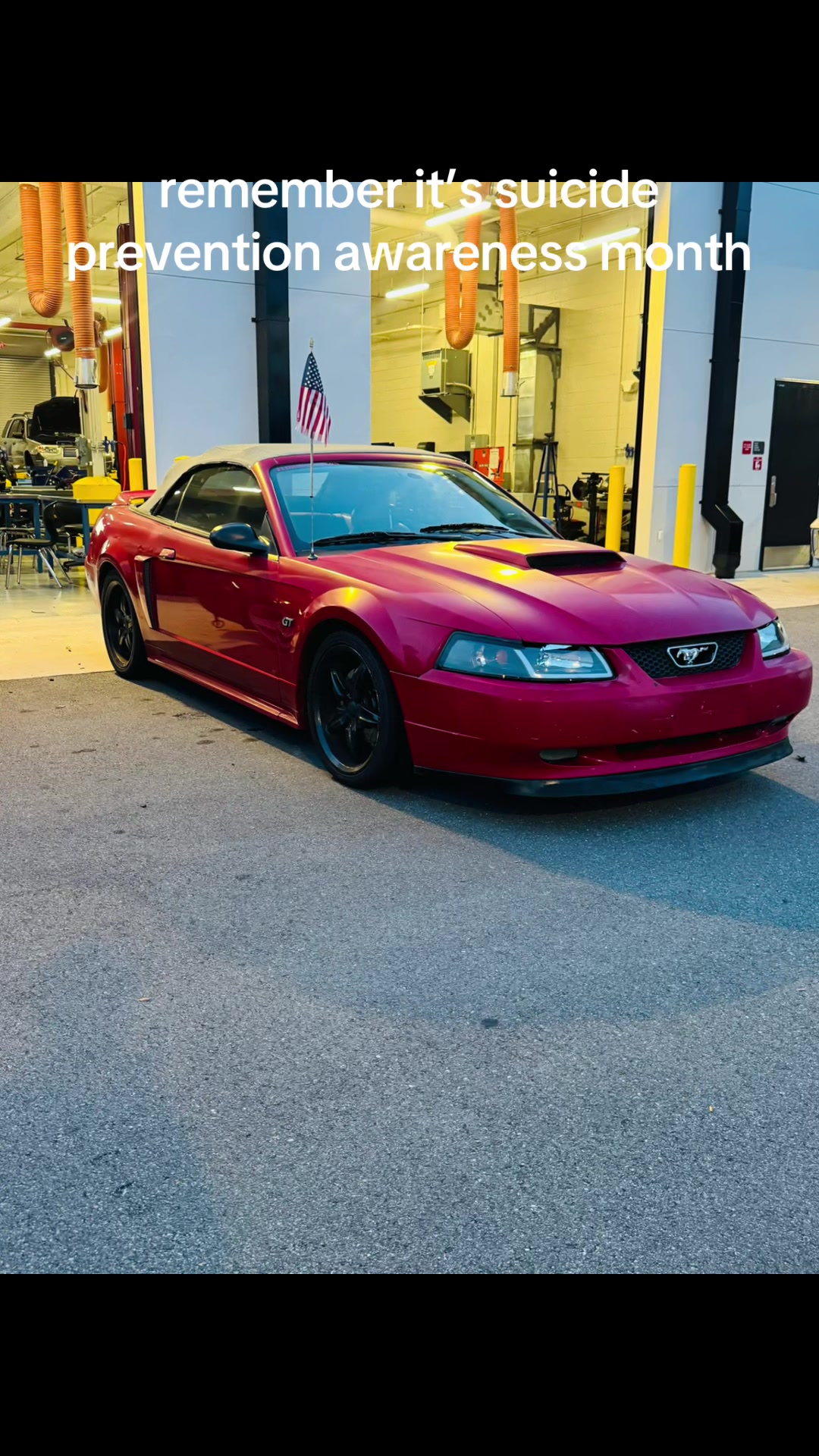 @that.new.edgemustang