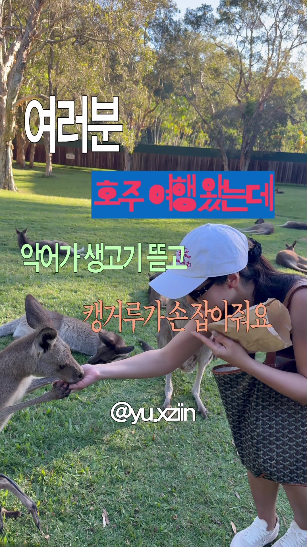 @yu.xziin