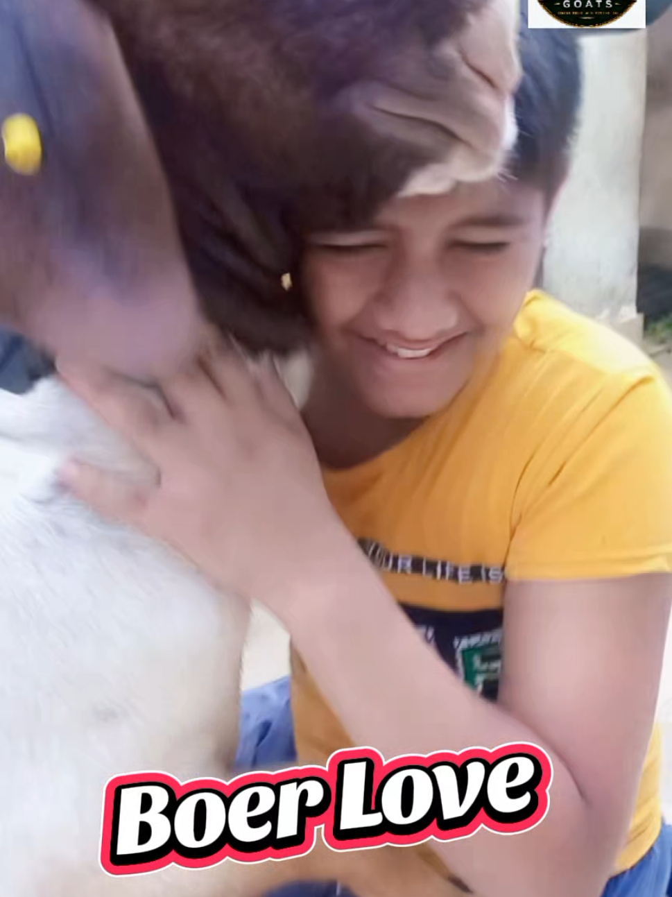 @Mustafa Goats