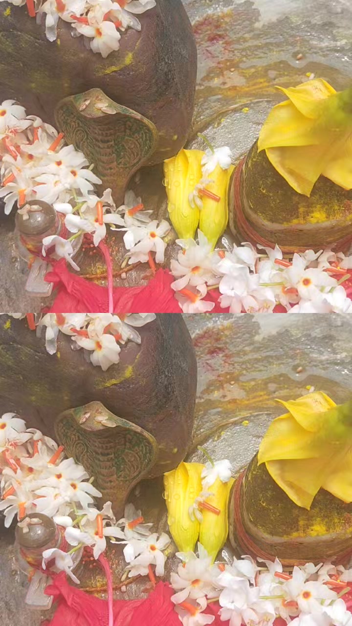 @Mina Shriwasatav