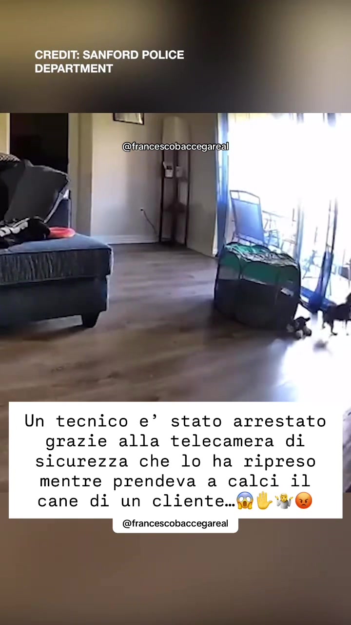 @francescobaccegareal