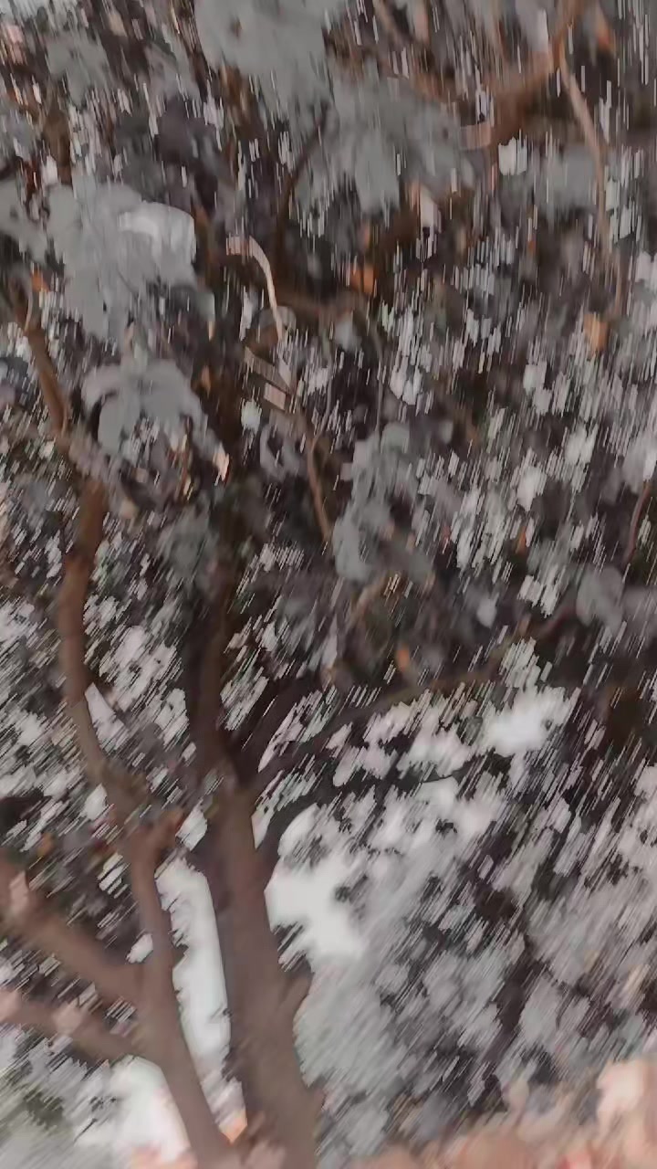 @𓆩زخمی دِل𓆪