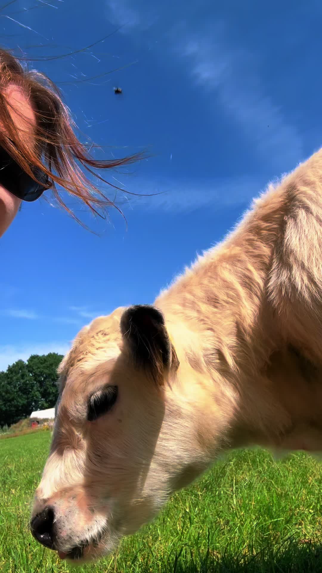 @♥️My little Ranch♥️