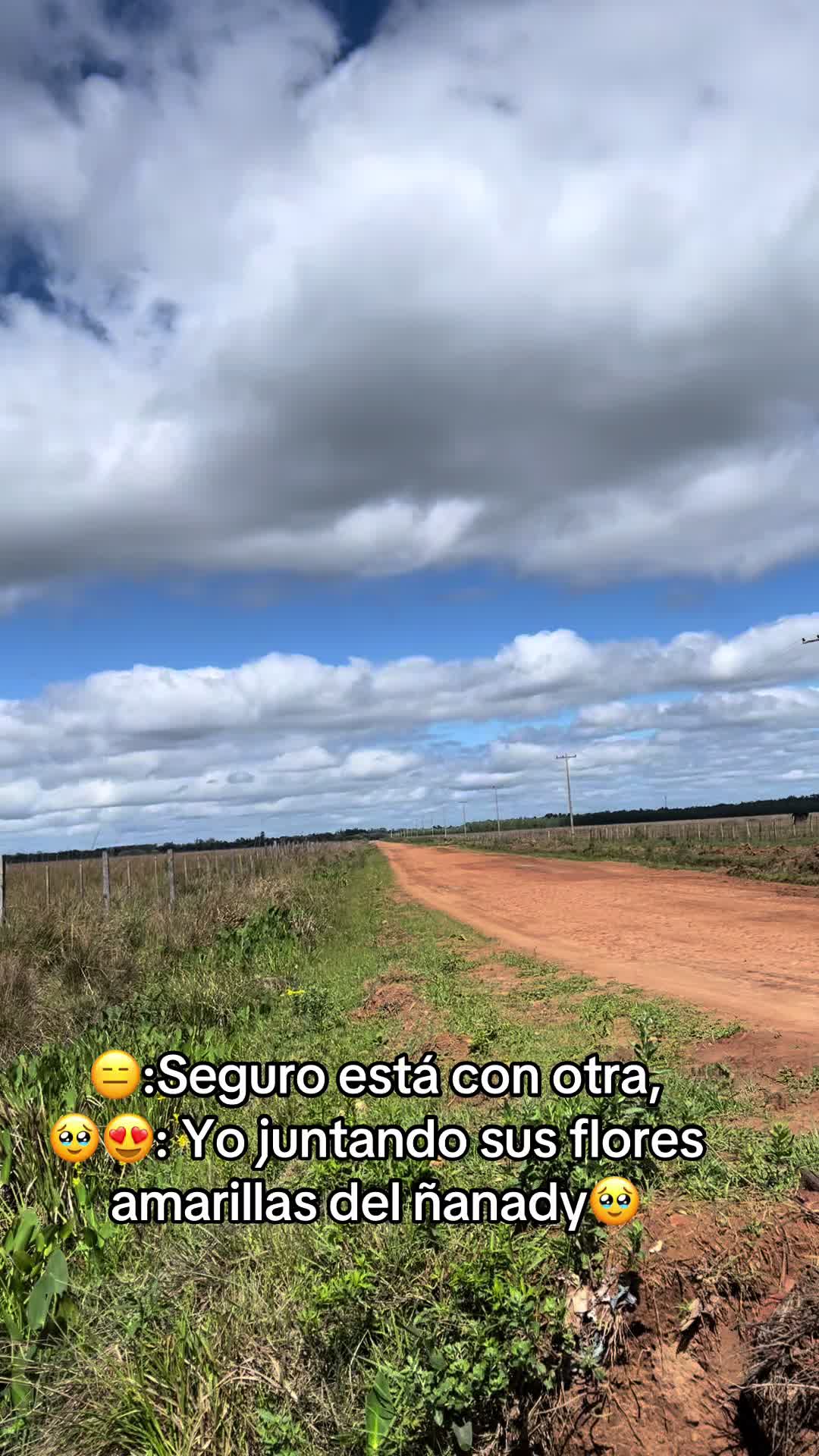 @Carlos Pedrozo