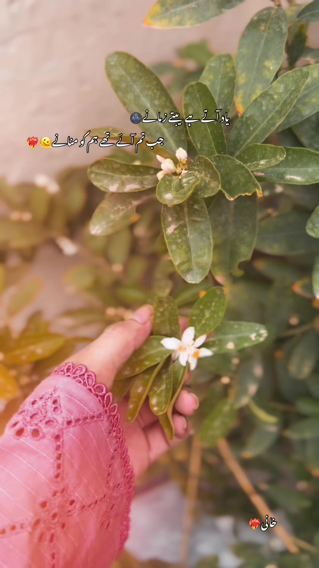 @خانی❤️🔥