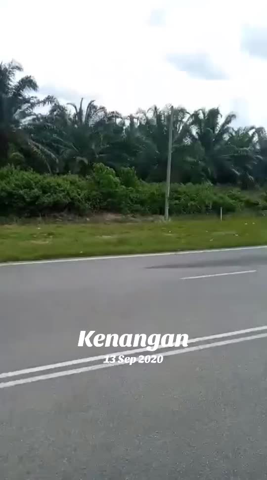 @zul mat deri
