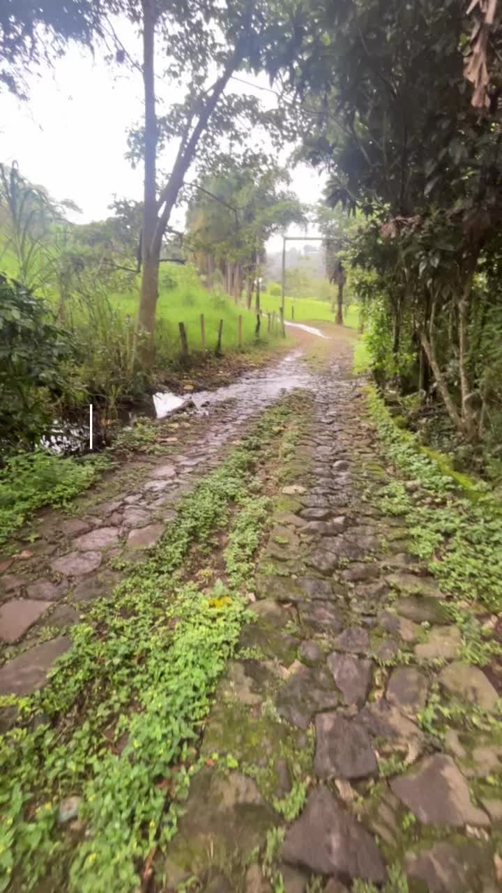 @veracruzmarysol