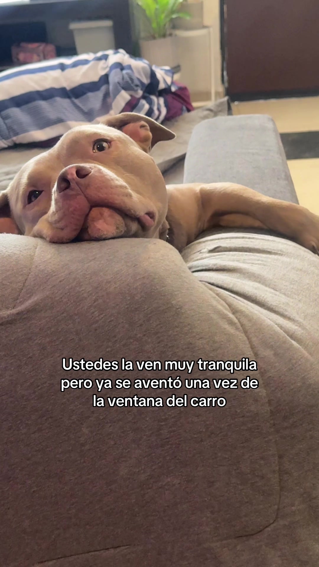 @Linda Miaw