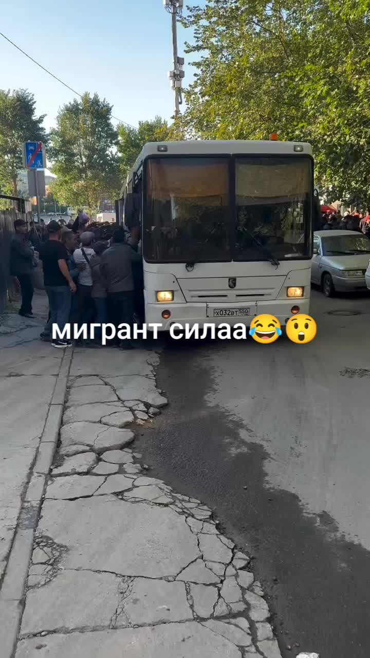 @ато🦁