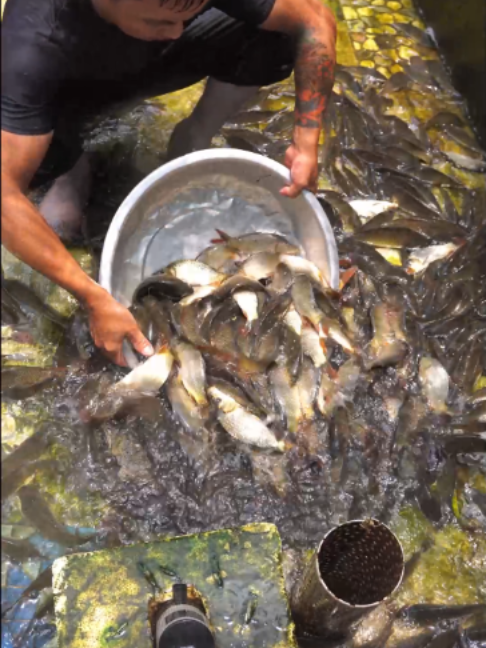 @Trại Cá Giống Quang Lâm