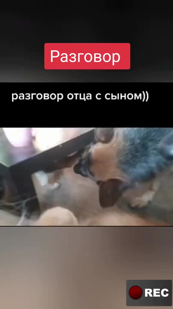 @Лариса