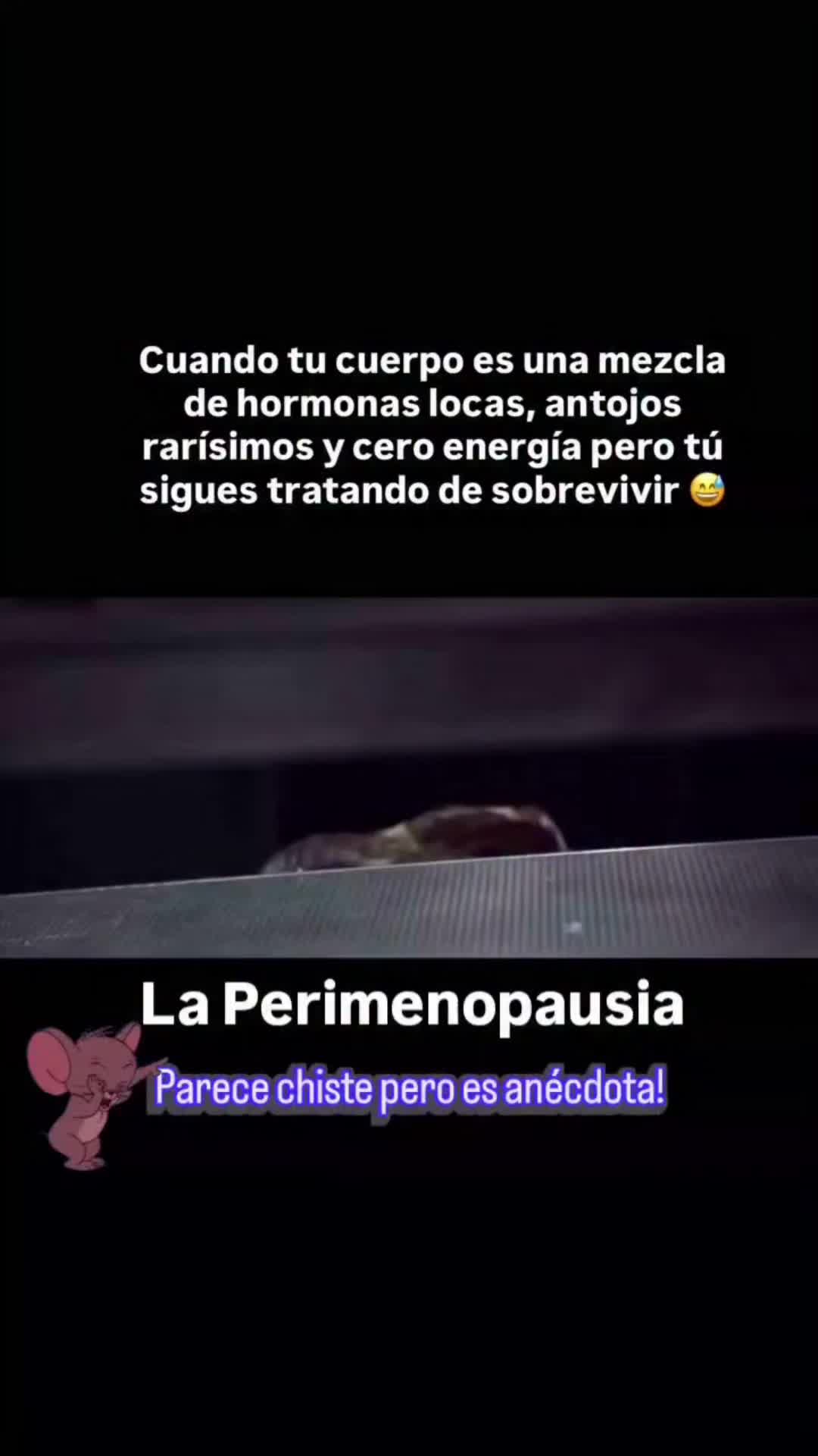 @🍒Wandita La Bori