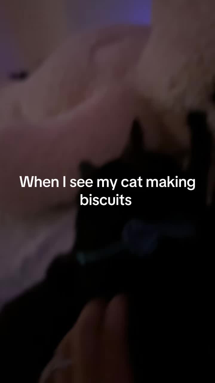 @Jjw2818