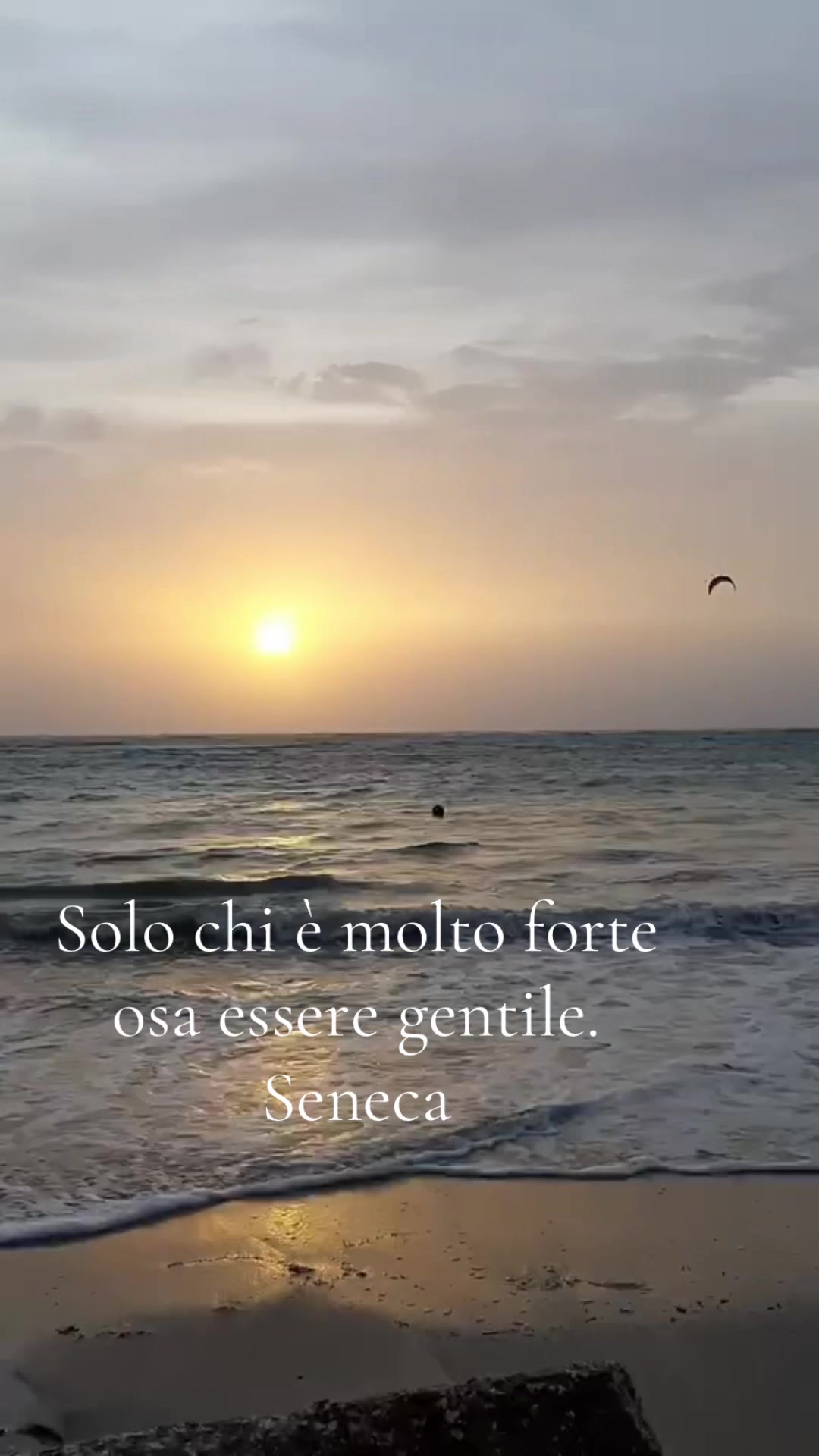 @alemangioo