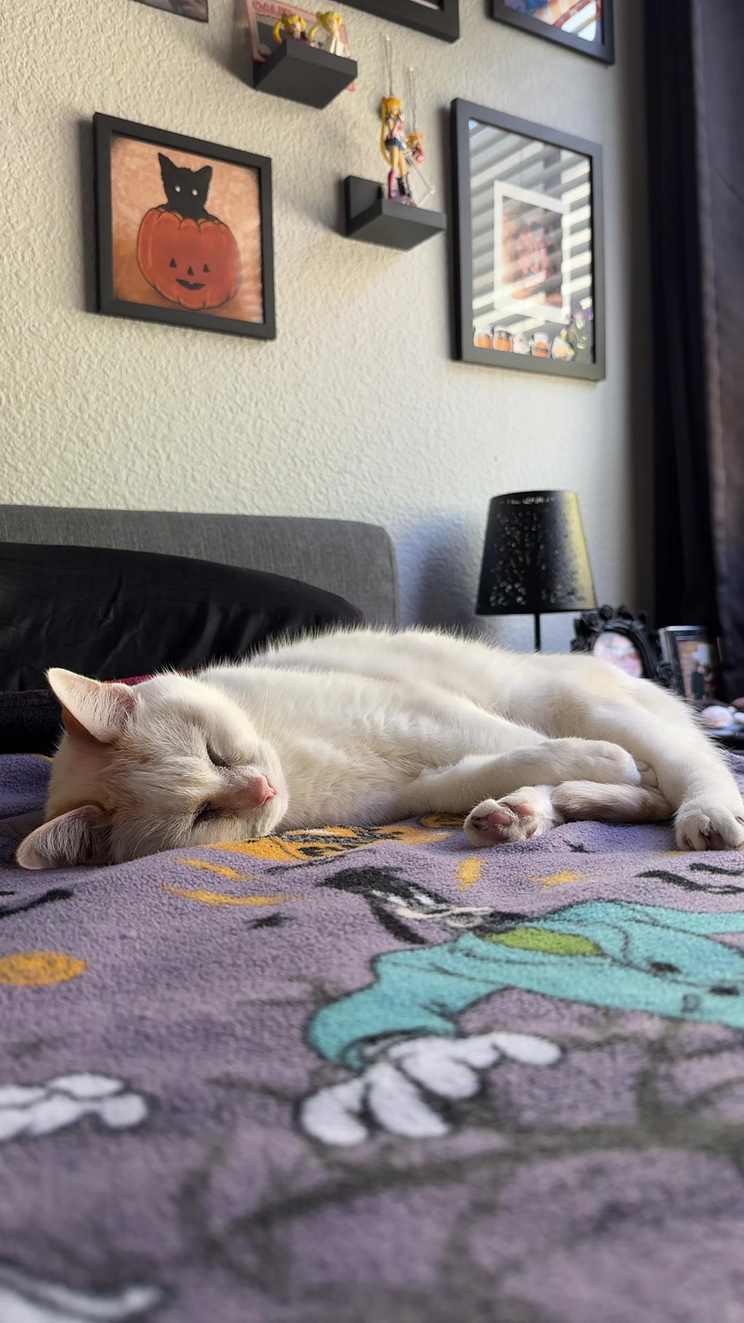 @spookiecat=^_^=