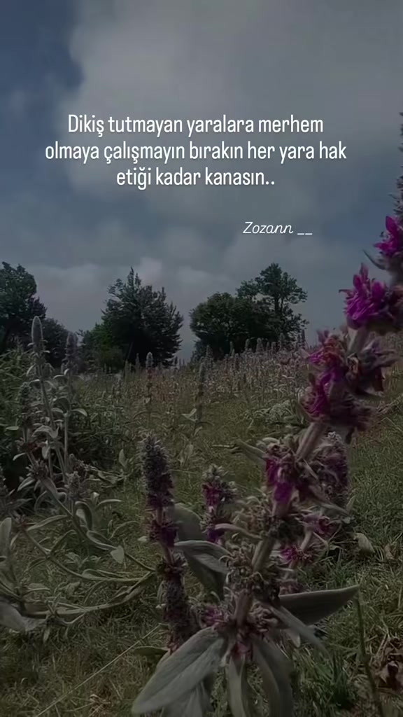 @ZOZAN