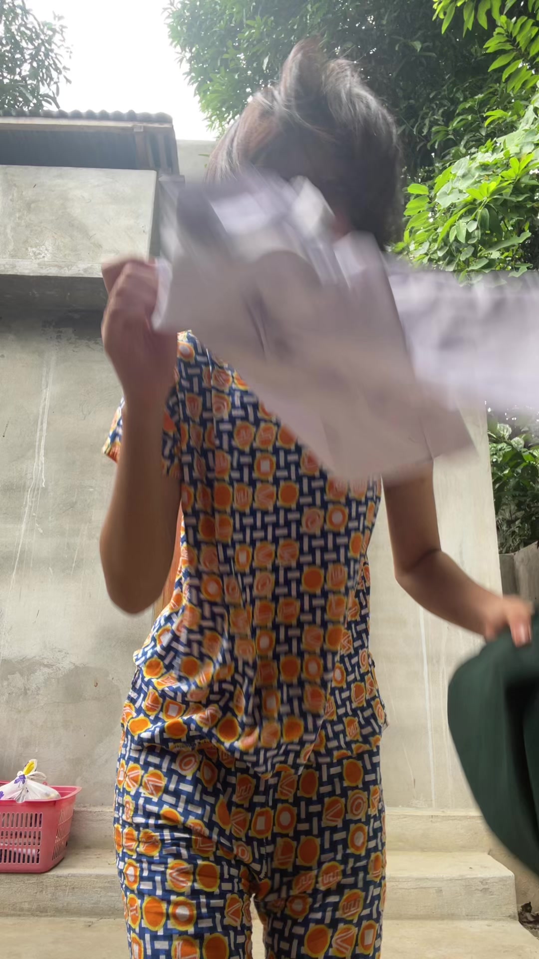 @Ray-ark🦖