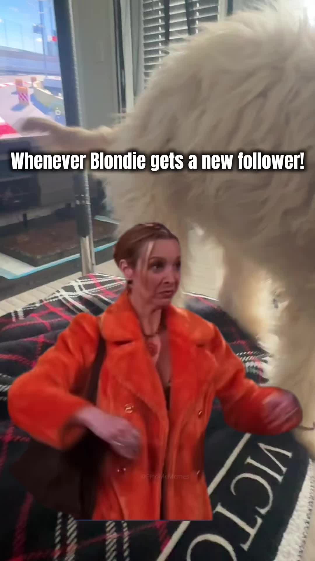 @Blondie Mae 🌼