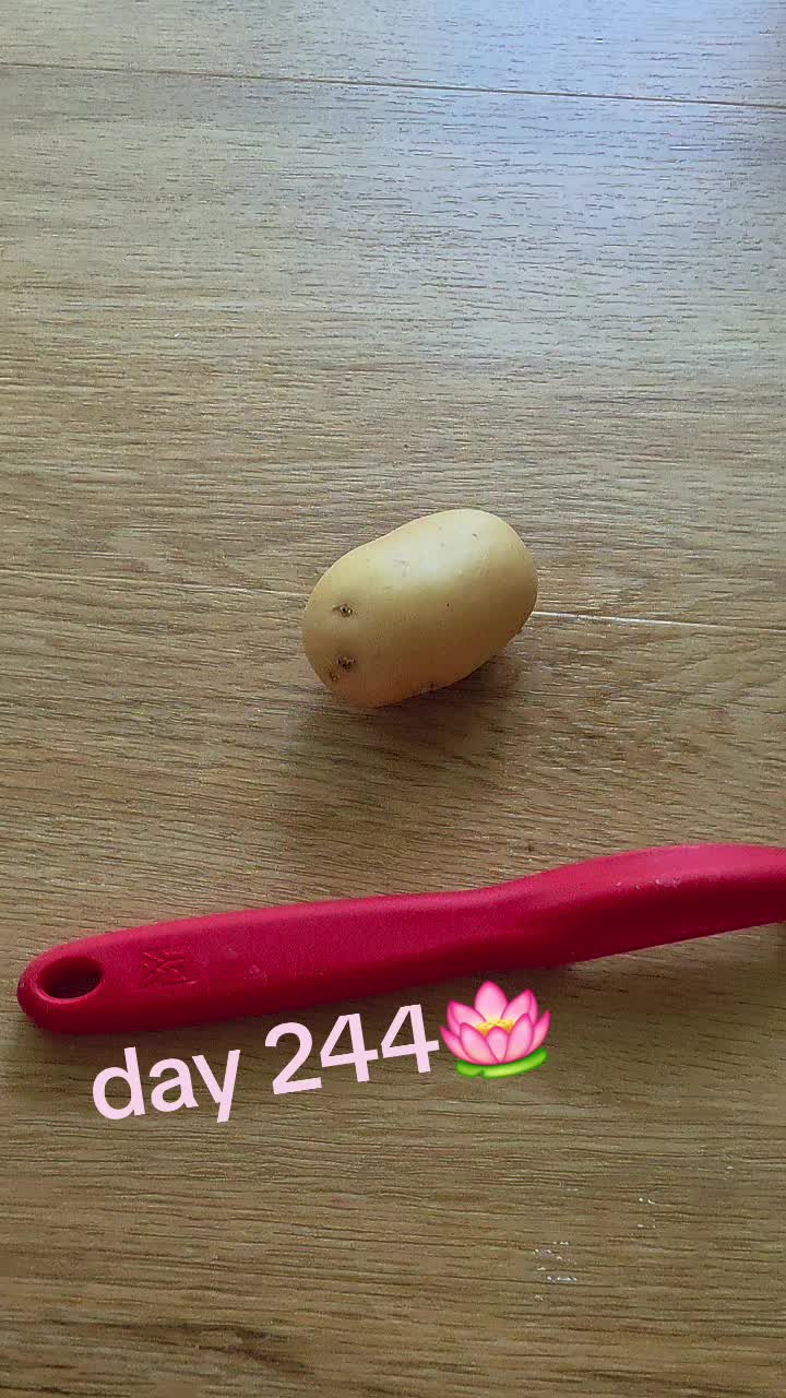 @OneTaterGirl🥔