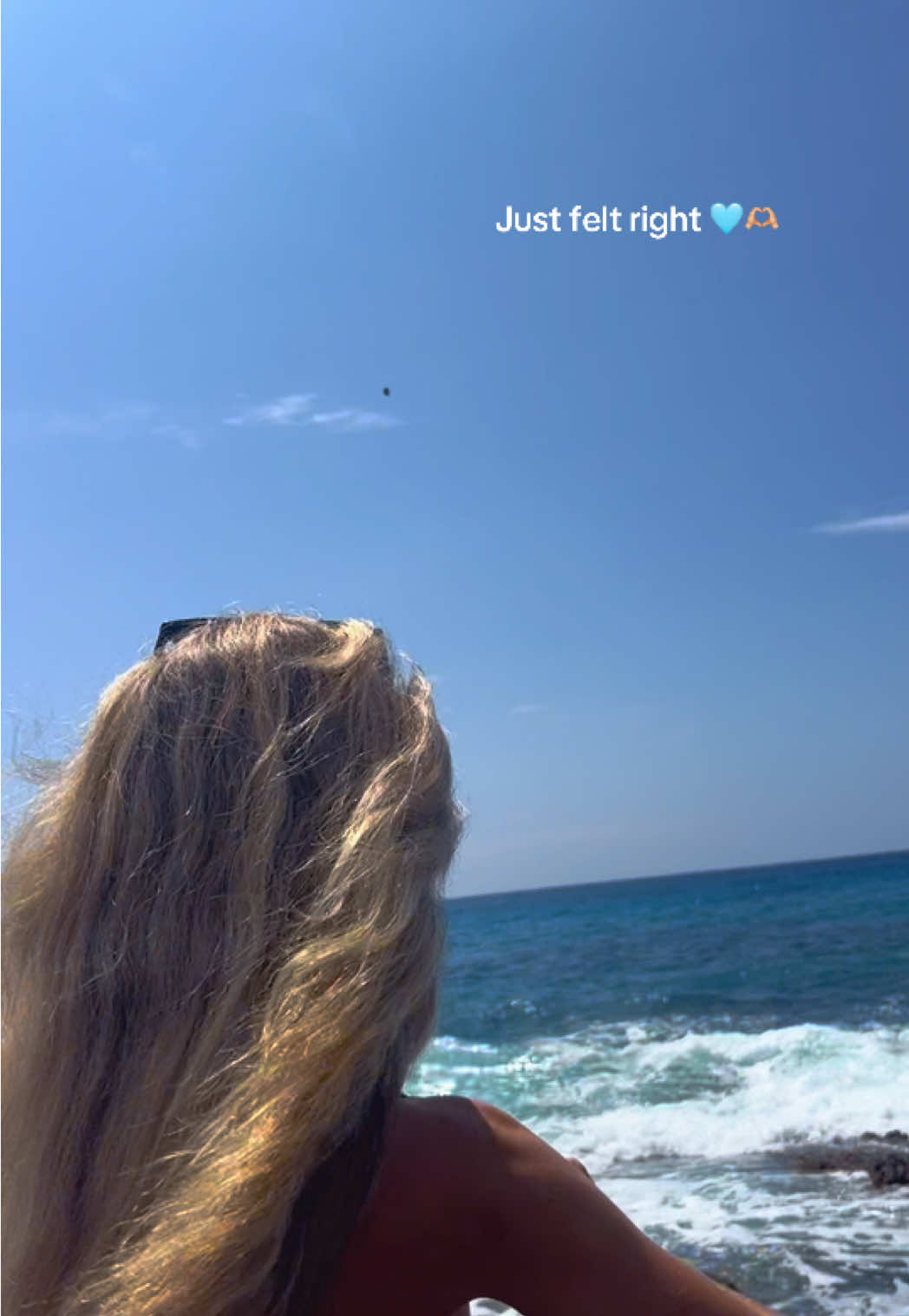 @Islandshells
