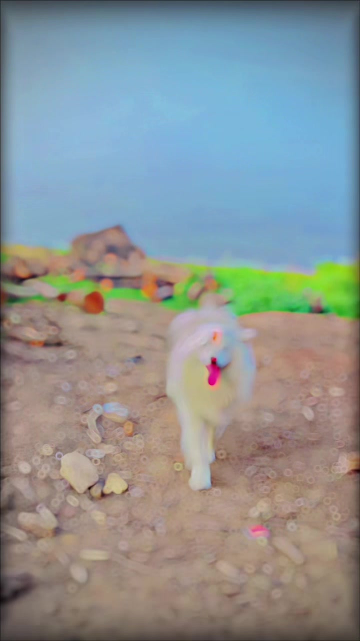 @┋ડυ𝙧ꪋ𝓳Ṝꪋ𝕛קυԵ⠀ᥫ᭡፝֟፝֟